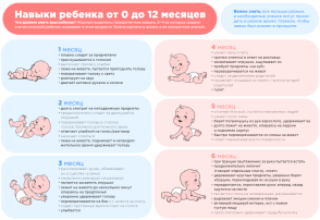 Навыки развития ребенка от 0 до 12 месяцев Навыки развития ребенка от 0 до 12 месяцев.