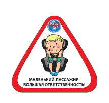 Причины детского дорожно-транспортного травматизма Причины детского дорожно-транспортного травматизма.