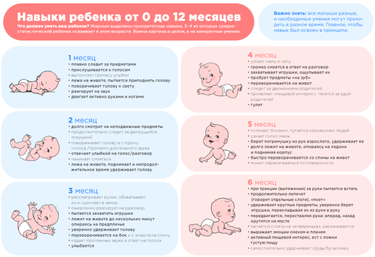 Навыки развития ребенка от 0 до 12 месяцев Навыки развития ребенка от 0 до 12 месяцев.